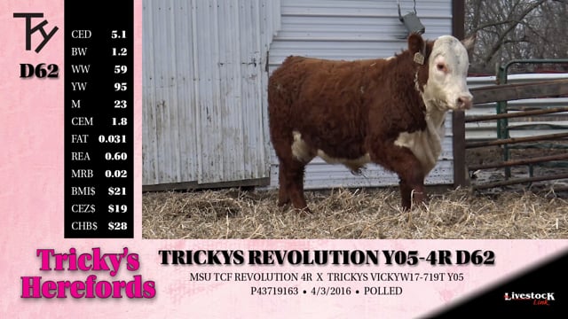 Lot #D62 - TRICKYS REVOLUTION Y05-4R D62