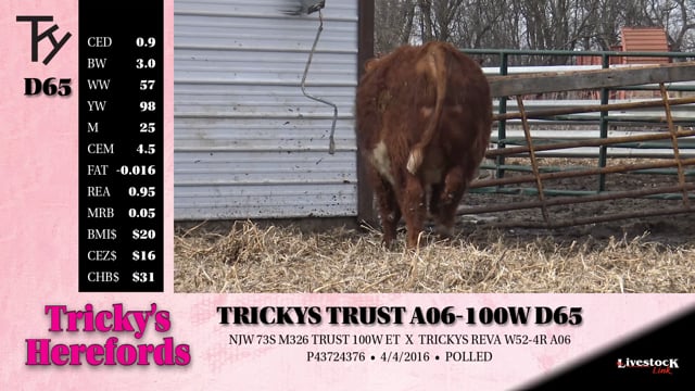 Lot #D65 - TRICKYS TRUST A06-100W D65