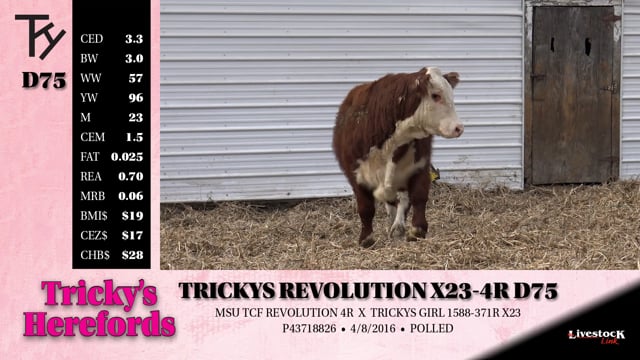 Lot #D75 - TRICKYS REVOLUTION X23-4R D75