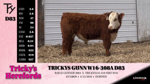 Lot #D83 - TRICKYS GUNN W16-308A D83