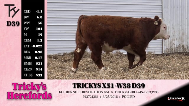 Lot #D39 - TRICKYS X51-W38 D39