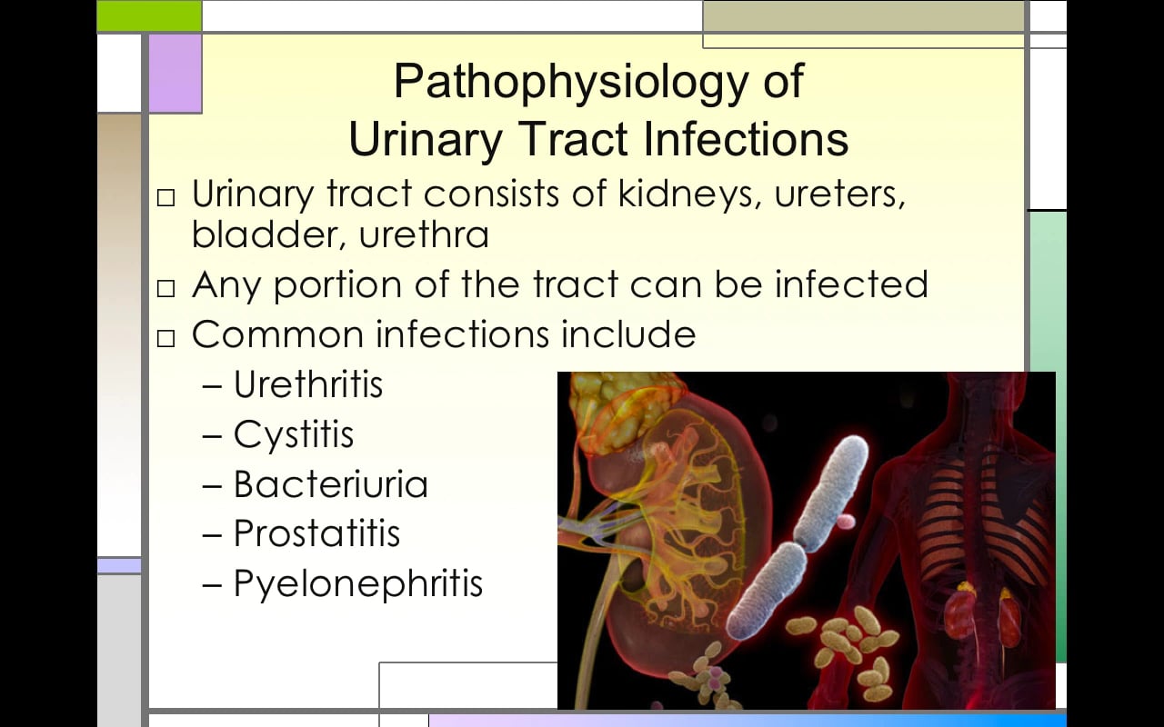 uti-fungal-and-viral-drugs-on-vimeo