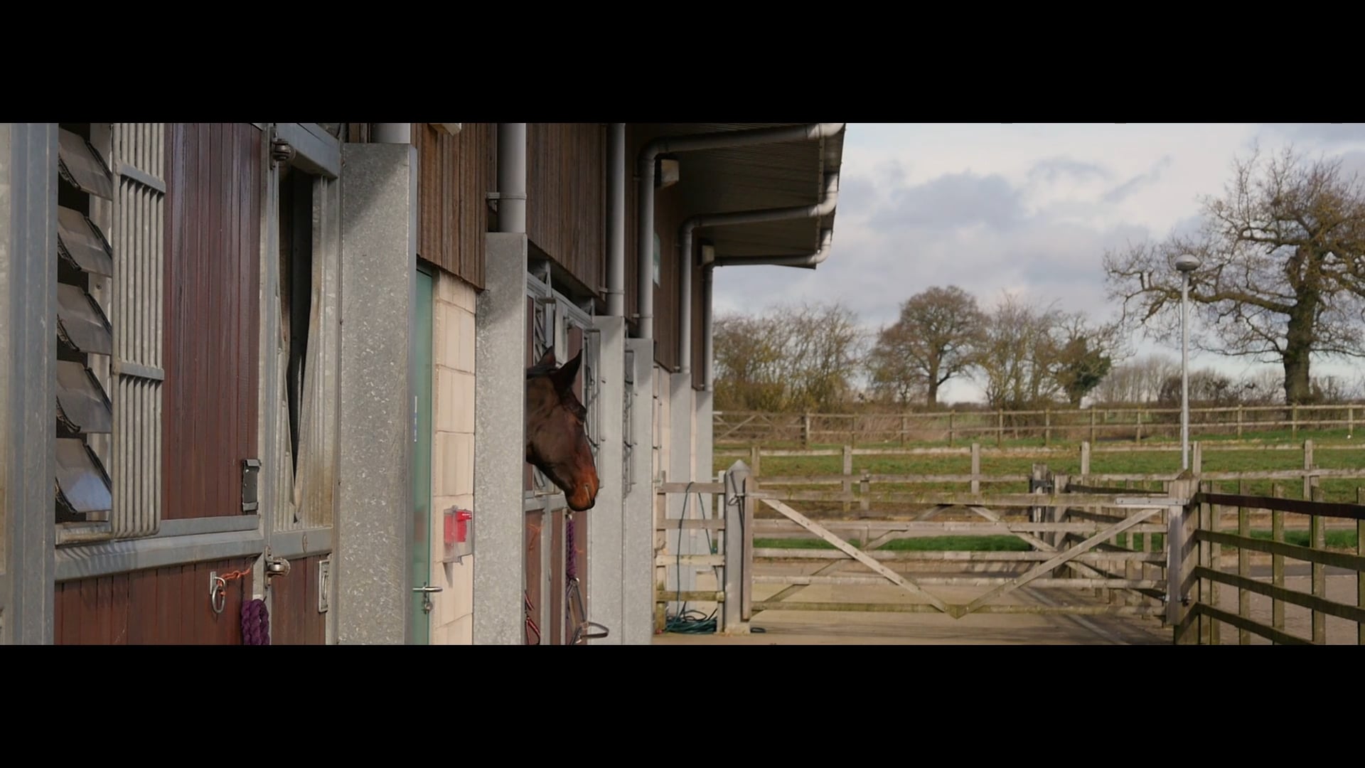 TOWN & COUNTRY VETERINARY CENTRE