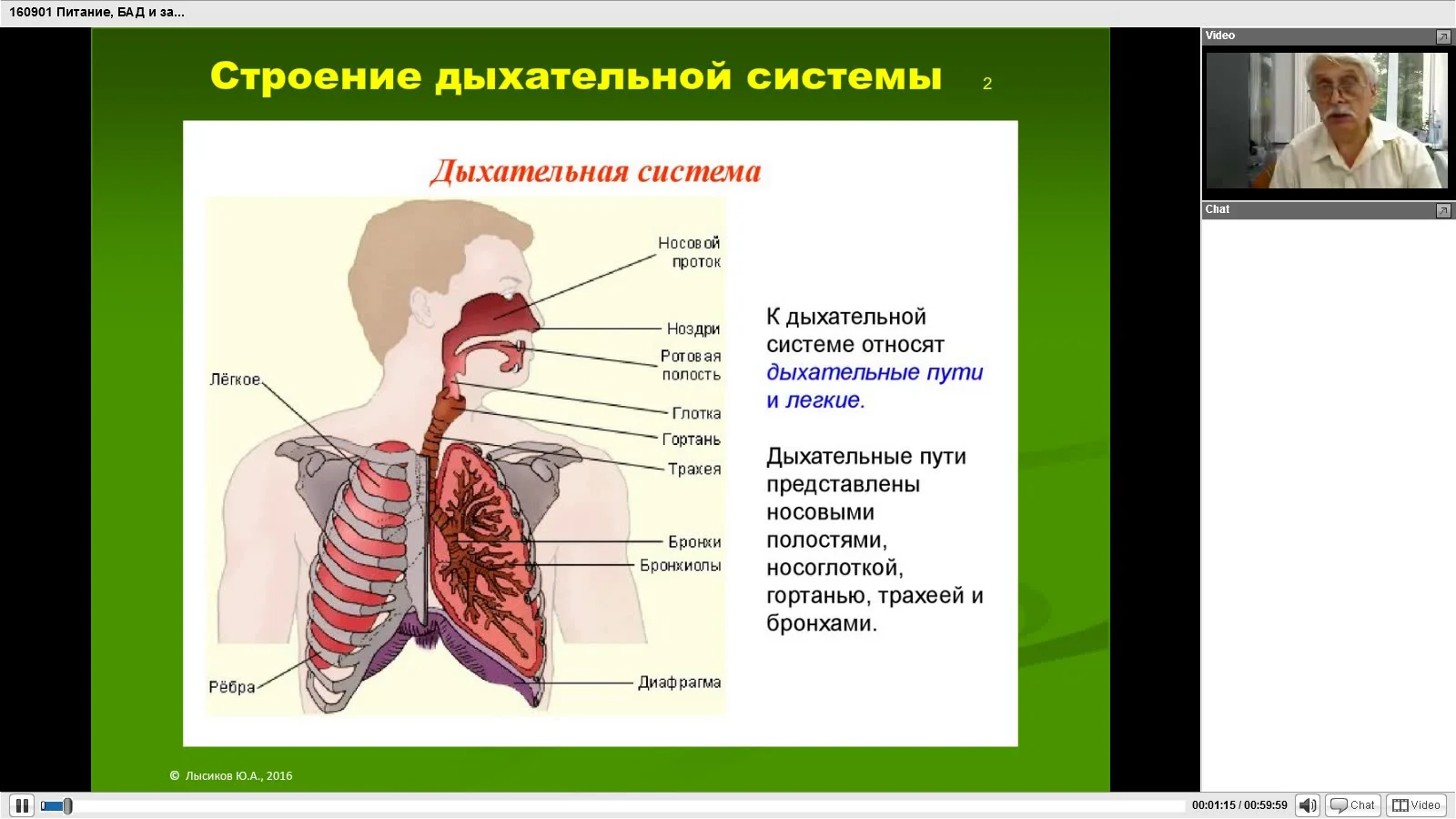 Профилактика заболеваний органов дыхательной системы. Дыхательная и пищевая система. Заболевания органов дыхания. БАДЫ при заболевании органов дыхания. Болезни пищевой системы.