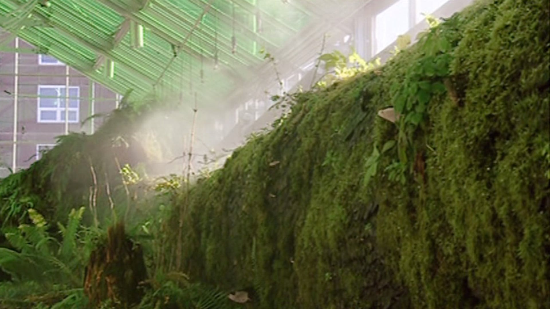 “Ecology”
