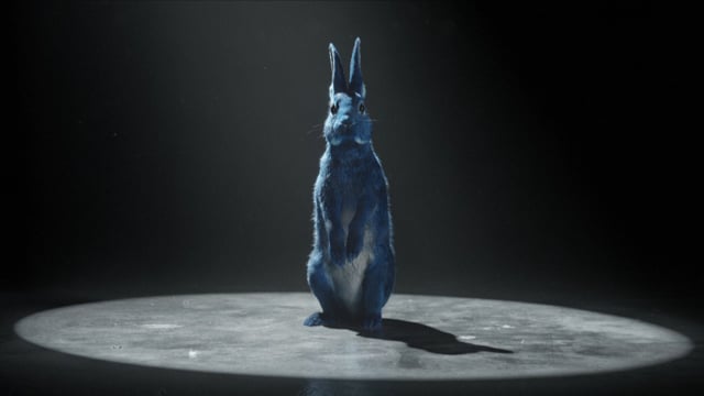 O2 - Follow The Rabbit