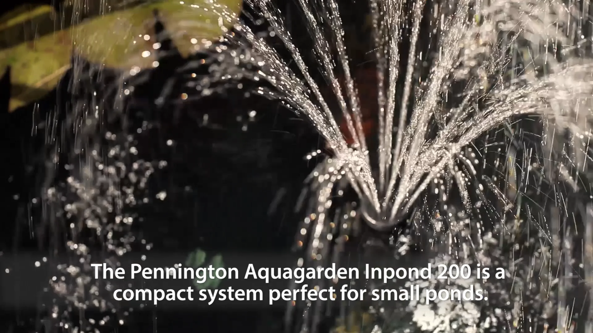 PPG Dealer Video - Aquapon on Vimeo