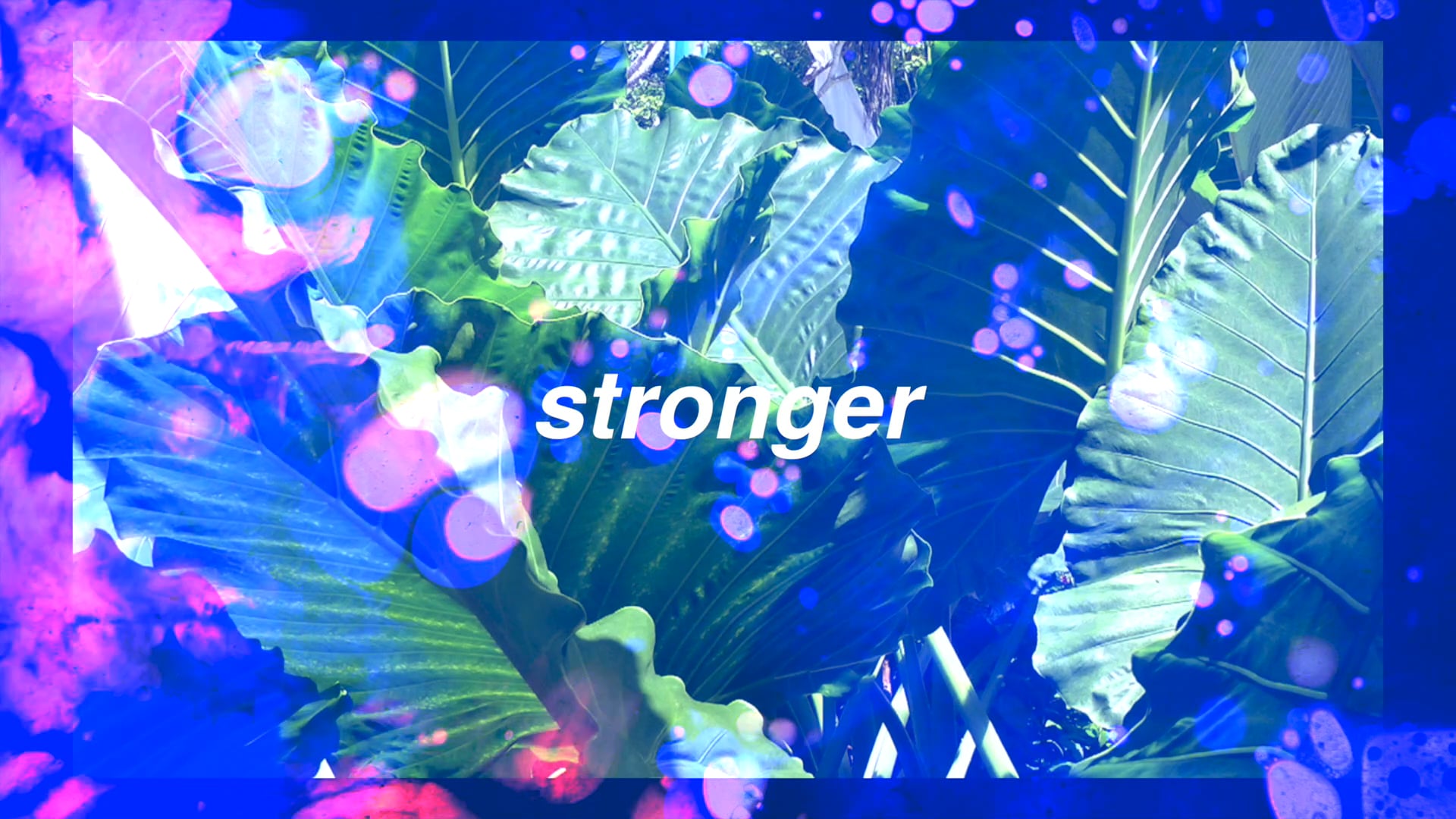 stronger-on-vimeo