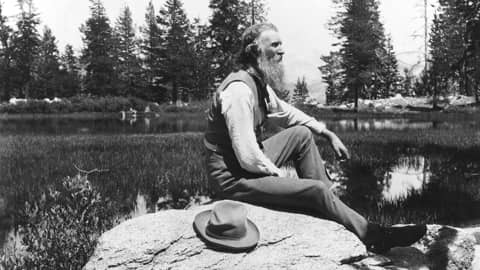 John Muir - Coming Home thumbnail