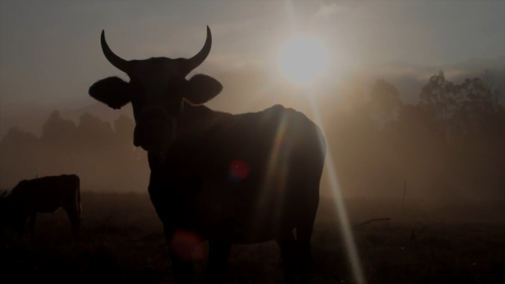 ELTC 2017 Video Promocional.