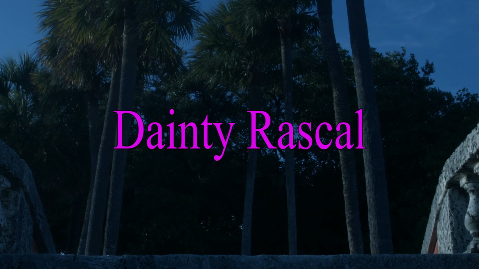 Dainty Rascal Collection on Vimeo