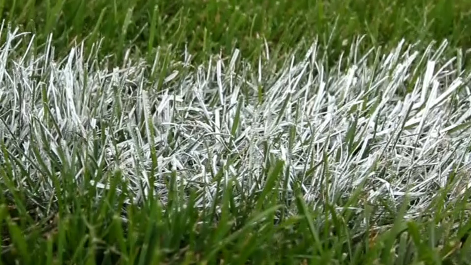 "Warrior Proud" JCHS Hype Video