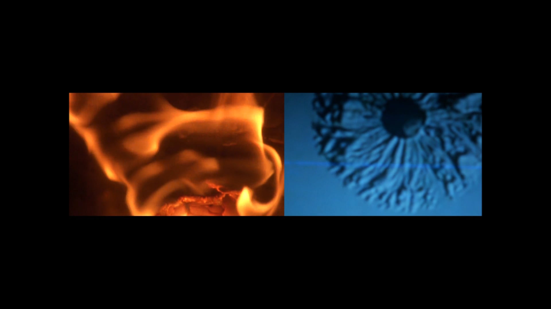 Le dialogue du sensible - fragments 1988 2016