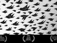 There’s Too Many of These Crows