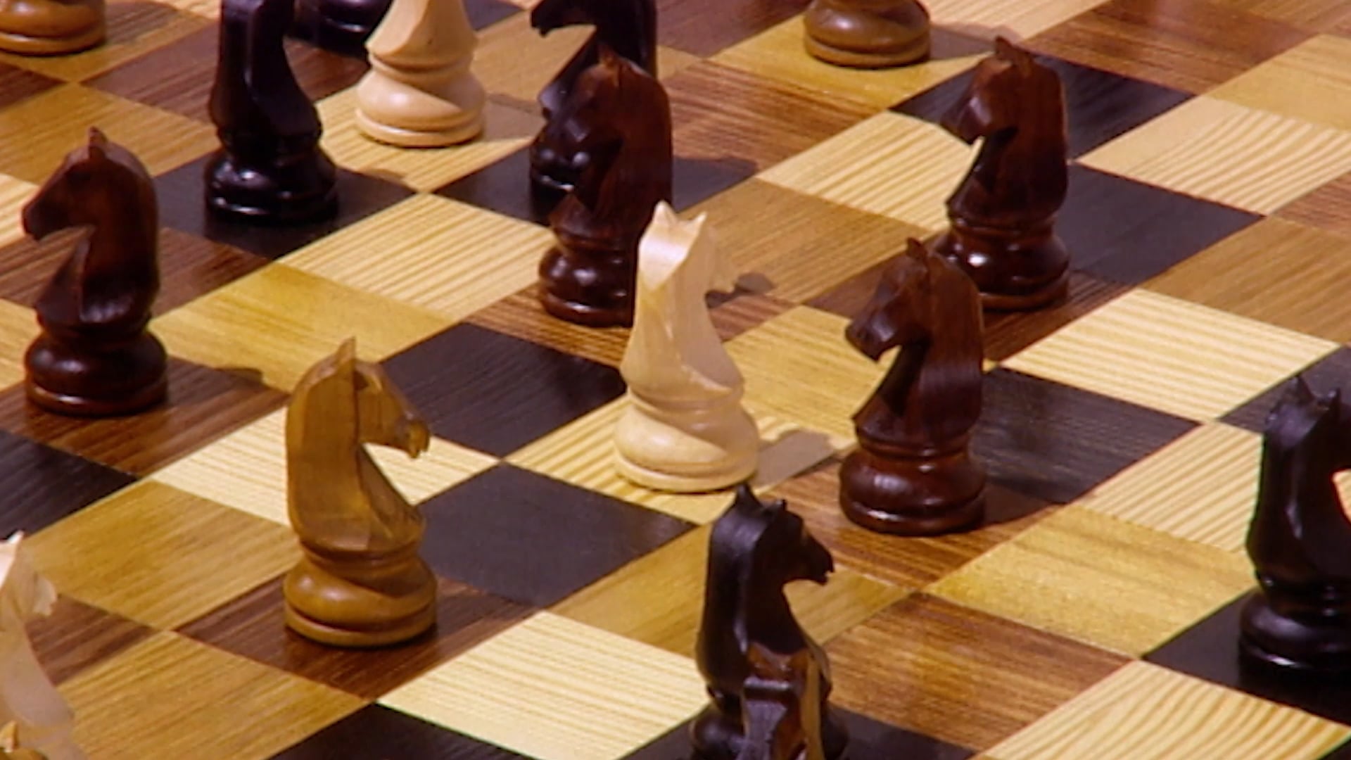 chess italian game｜Pesquisa do TikTok