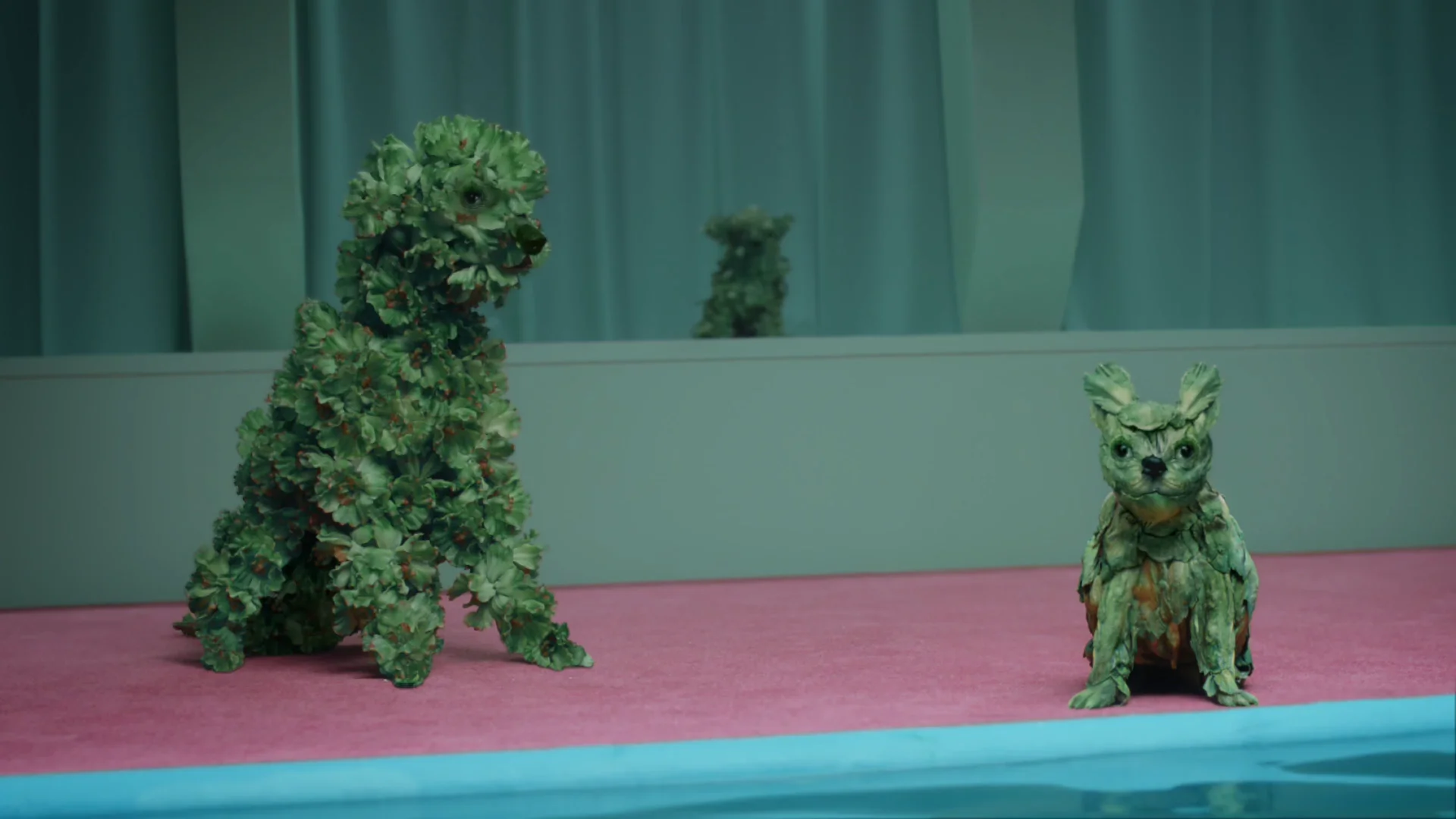 Kale Limp (Mail Chimp)  
