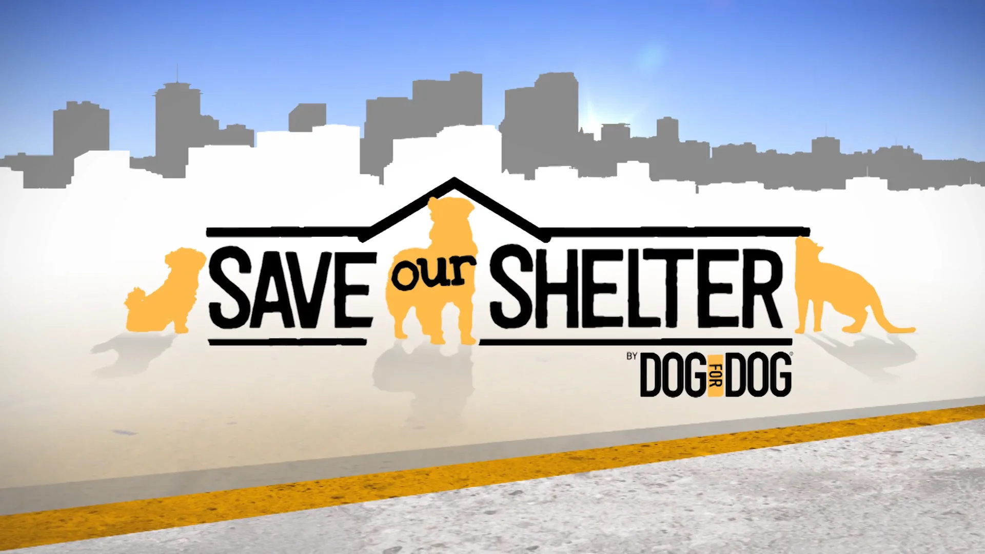 Sheltered save. Etobicoke Humane Society.