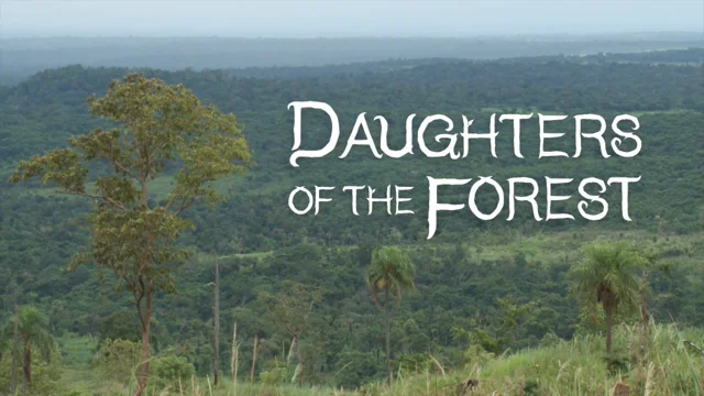 Daughter of the Forest