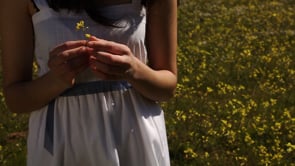 My Production Designs