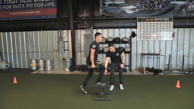 Dumbbell Step Up