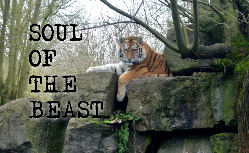 Soul of the Beast (A Marwell Zoo Short Film)