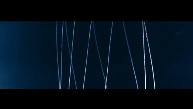 The Werehaus - Video - 2