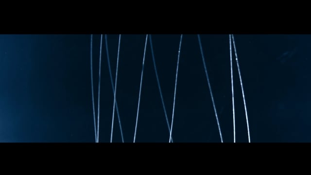 Open video