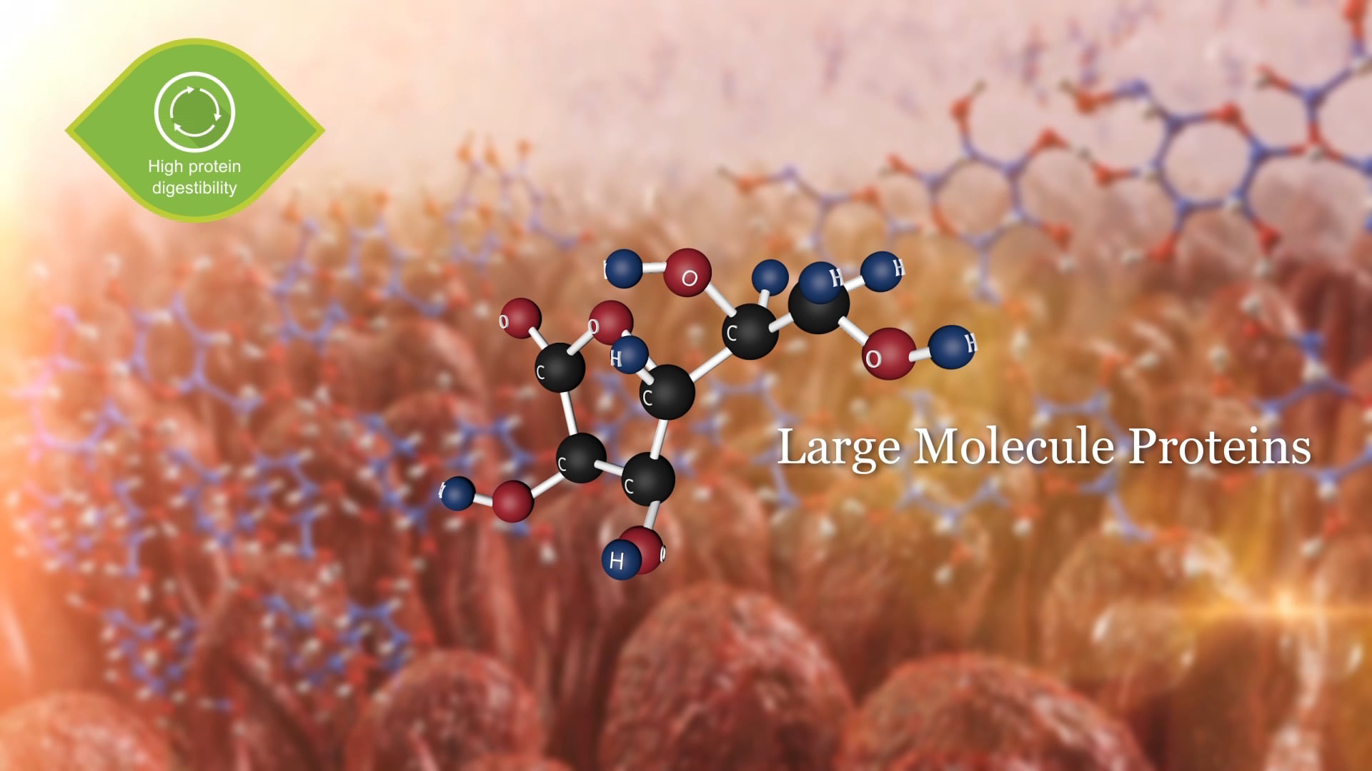 達邦蛋白公司簡介