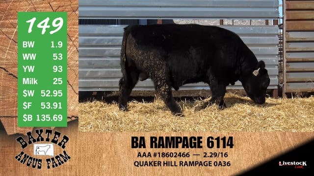 Lot #149 - BA RAMPAGE 6114
