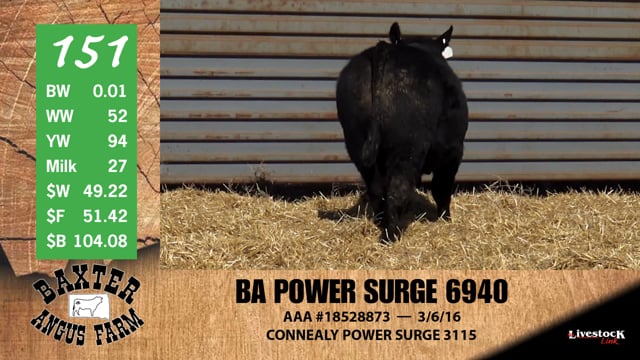 Lot #151 - BA POWERSURGE 6940