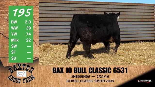 Lot #195 - BAX JO BULL CLASSIC 6531