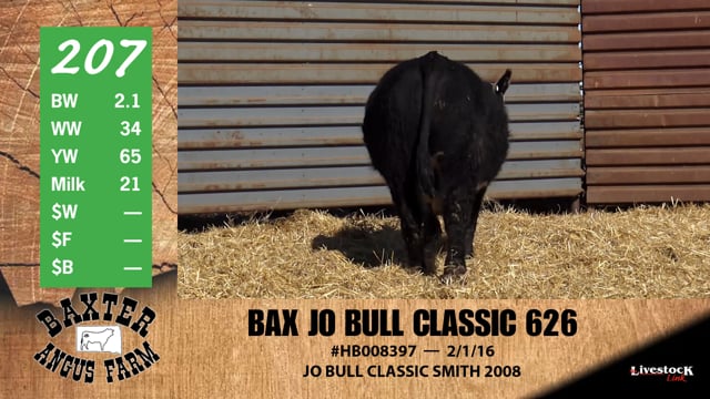 Lot #207 - BAX JO BULL CLASSIC 626