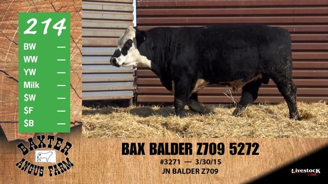 Lot #214 - BAX BALDER Z709 5272