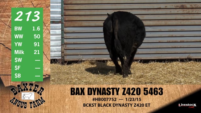 Lot #213 - BAX DYNASTY Z420 5463