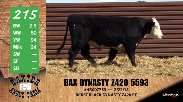 Lot #215 - BAX DYNASTY Z420 5593