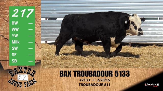 Lot #217 - BAX TROUBADOUR 5133