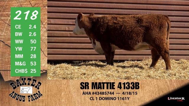 Lot #218 - SR MATTIE 4133B