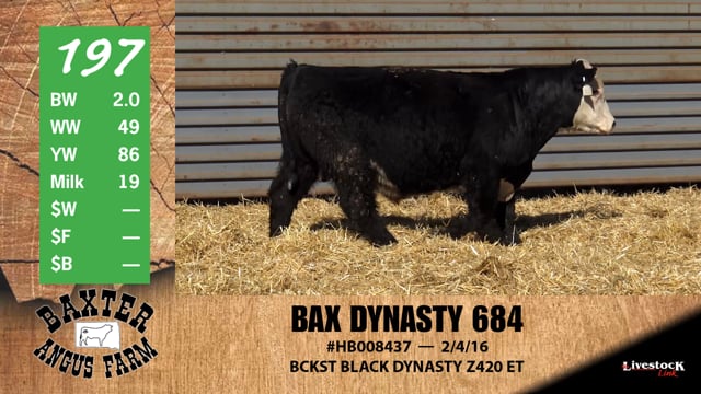 Lot #197 - BAX DYNASTY 684