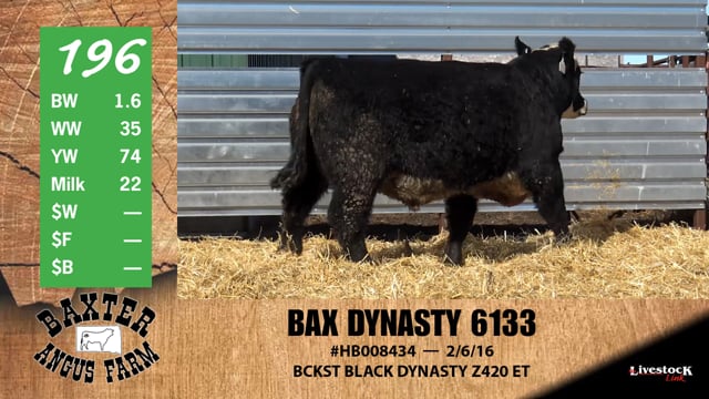 Lot #196 - BAX DYNASTY 6133