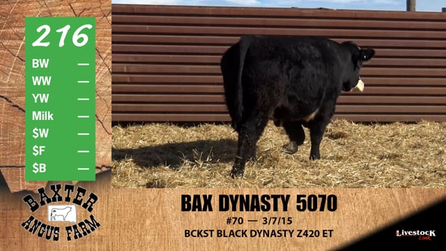 Lot #216 - BAX DYNASTY 5070