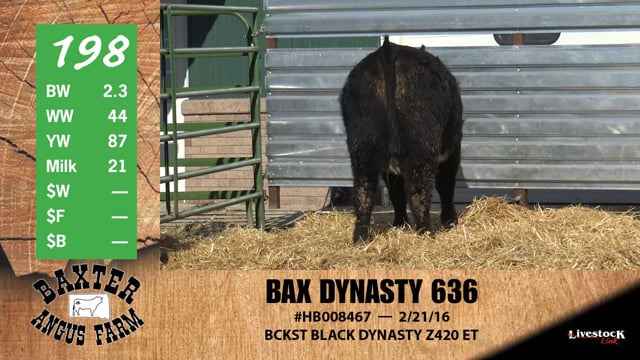Lot #198 - BAX DYNASTY 636