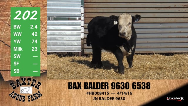 Lot #202 - BAX BALDER 9630 6538