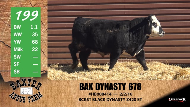 Lot #199 - BAX DYNASTY 678
