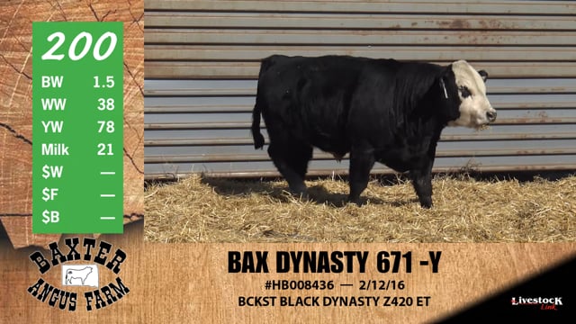 Lot #200 - BAX DYNASTY 671 -Y
