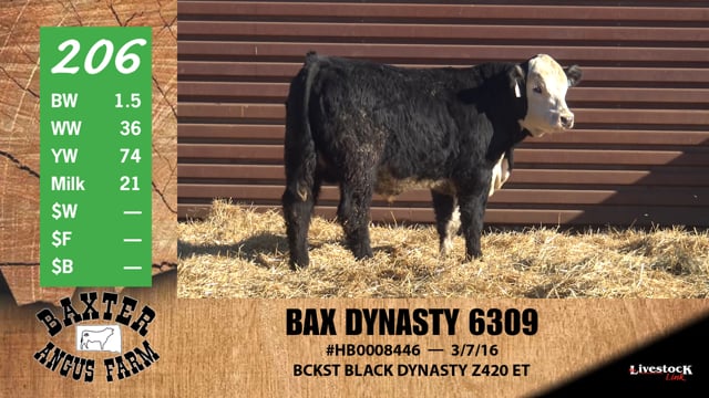 Lot #206 - BAX DYNASTY 6309