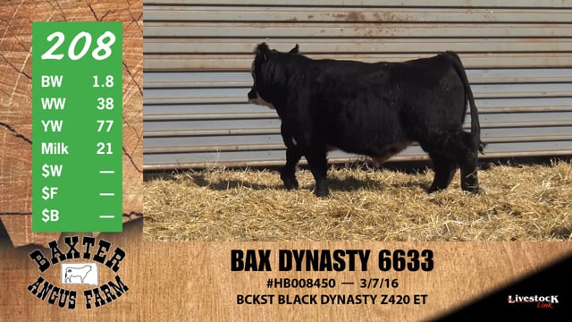 Lot #208 - BAX DYNASTY 6633