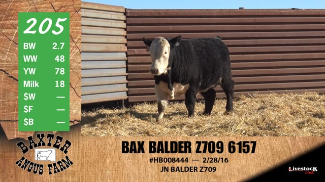 Lot #205 - BAX BALDER Z709 6157