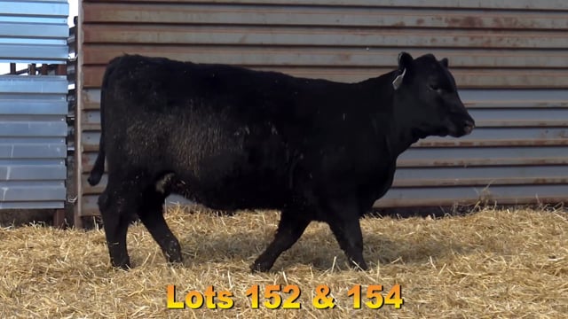 Lot #152 - BA CAPITALIST 6189