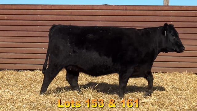 Lot #153 - BA UPWARD 2972 679