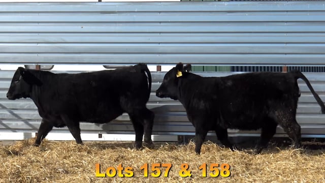 Lot #157 - BA UPWARD 2972 6504
